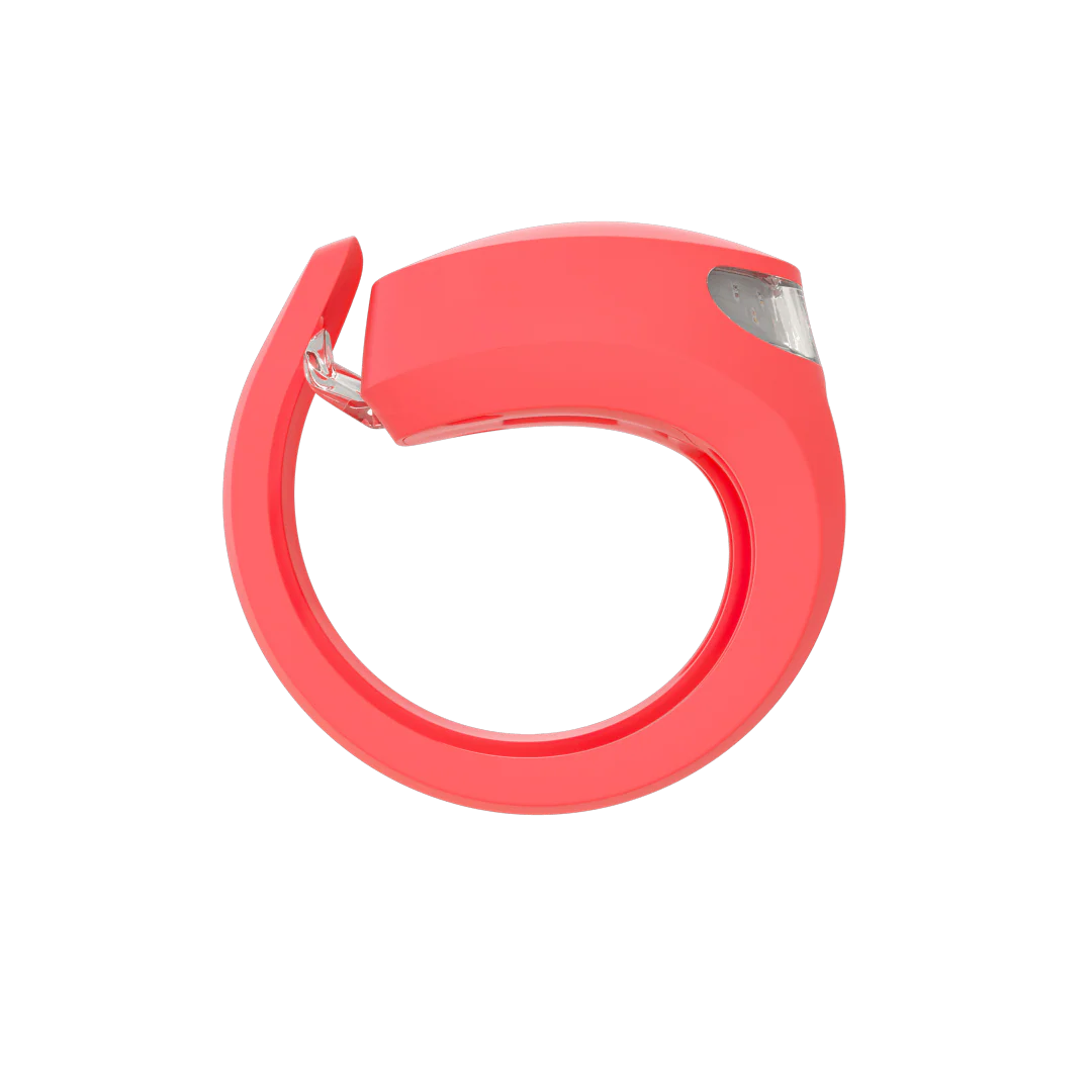 Frog Rear Bike Light - Image 20